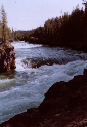 Picture of the river above the waterfall
