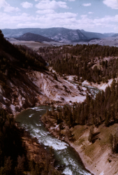 The river from the top of the waterfall, viewed facing down