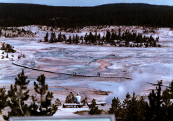 Long distance image of the porcelain basin at yellowstone