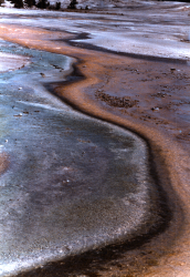 Close image of the basin
